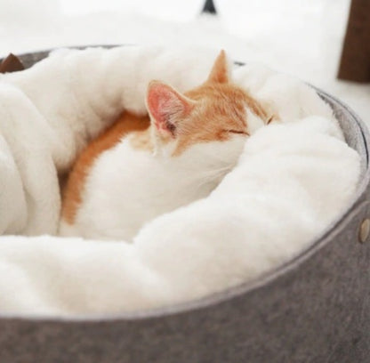 Orvio - Katzenbett
